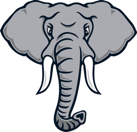 elephant trunk clipart|elephant trunk images clip art.